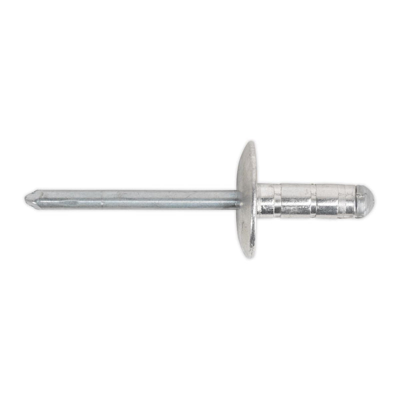 Sealey Aluminium Multi-Grip Rivet Large Flange 4.8 x 19mm Pack of 200 RM4819L Sealey - Dynamic Drive