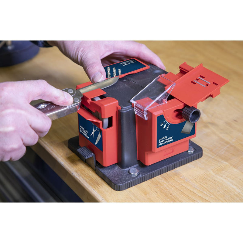 Sealey Multipurpose Sharpener Bench Mounting 65W SMS2004 Sealey - Dynamic Drive