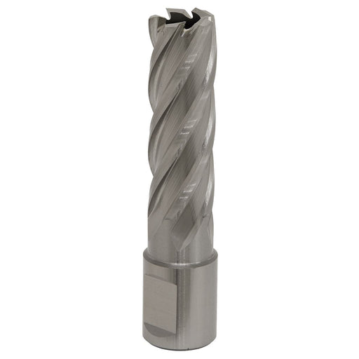 Sealey Rotabor Cutter HSS17mm Cut Depth 50mm RBHSS17L Sealey - Dynamic Drive