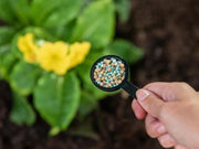 Gro-Sure All Purpose 6 Month Feed 1.1kg Jar Gro-Sure - Dynamic Drive