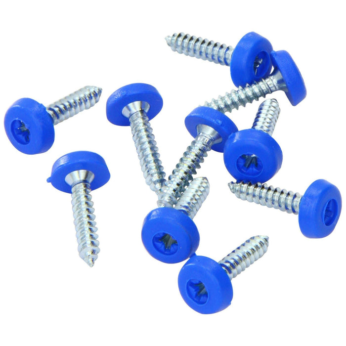 Connect 31549 Number Plate Screw Blue No 10 x 1 100pc Connect - Dynamic Drive