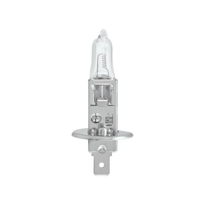 Ring 24V 70W H1 Bulb - R466 Ring - Dynamic Drive