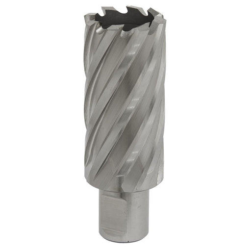 Sealey Rotabor Cutter HSS28mm Cut Depth 50mm RBHSS28L Sealey - Dynamic Drive