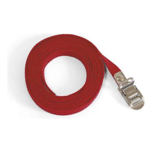 98656-419 2M SECURITY STRAP Fiamma  - Dynamic Drive