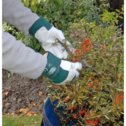 Draper Premium Leather Gardening Gloves, Extra Large 82608 Draper - Dynamic Drive