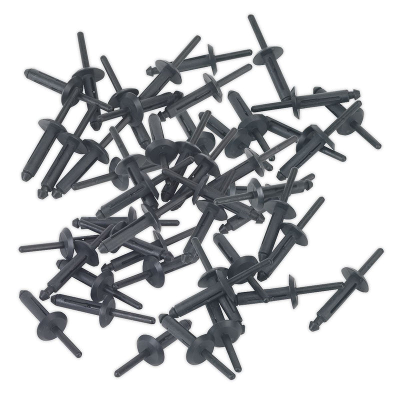Sealey Plastic Rivet6.3 x 25.2mm Pack of 50 PR002 Sealey - Dynamic Drive