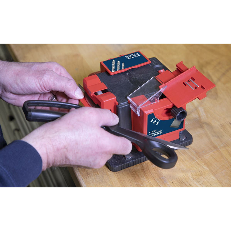 Sealey Multipurpose Sharpener Bench Mounting 65W SMS2004 Sealey - Dynamic Drive