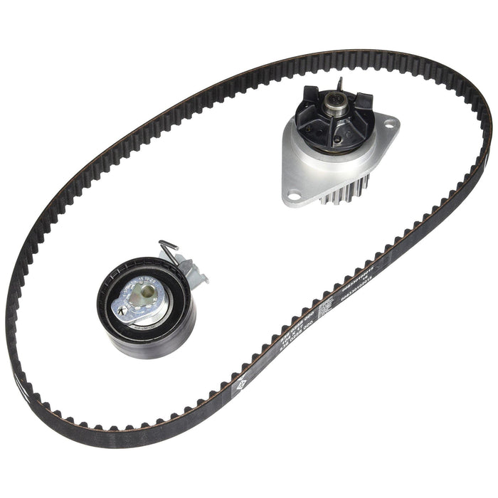 Ina Timing Belt Kit With Water Pump 530033530 Ina - Dynamic Drive