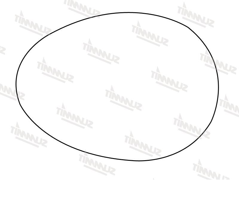 Summit Heated Base Plate With Blind Spot Mirror Glass fits BMW Mini 07 on RHS Summit - Dynamic Drive