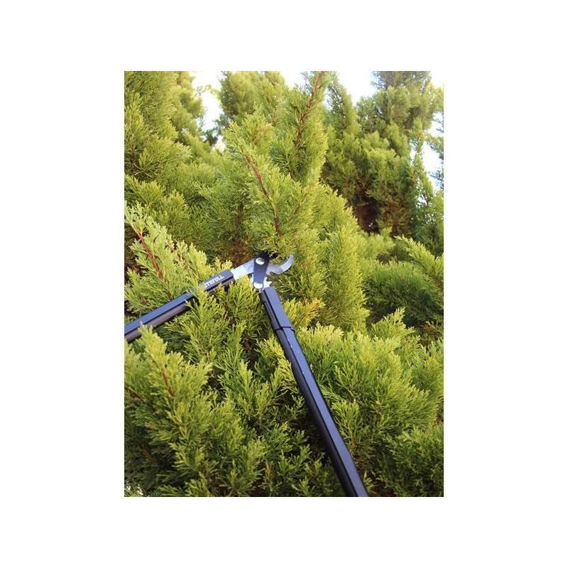 Faithfull Countryman Geared Bypass Lopper 600mm (24in) Faithfull - Dynamic Drive