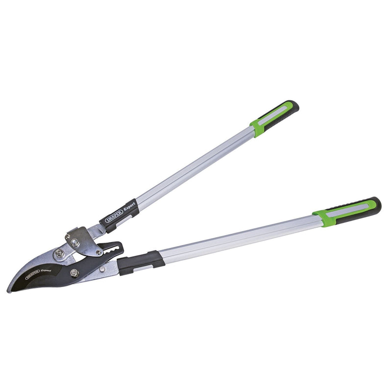 Draper Ratchet Action Bypass Pattern Loppers, 750mm 94985 Draper - Dynamic Drive