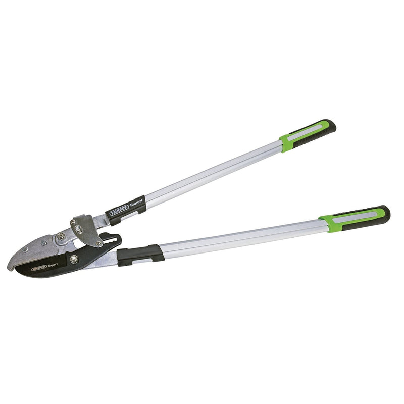 Draper Ratchet Action Anvil Pattern Loppers, 750mm 94984 Draper - Dynamic Drive