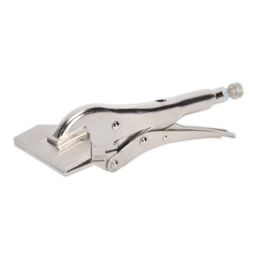 Sealey Sheet Metal Clamp 200mm 0-30mm Capacity AK6829 Sealey - Dynamic Drive