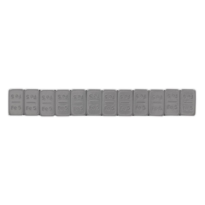 Sealey Wheel Weight 5g Adhesive Zinc Plated Steel Plastic Coated Strip of 12 Pac Sealey - Dynamic Drive