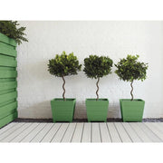 Ronseal Garden Paint Clover 750ml Ronseal - Dynamic Drive
