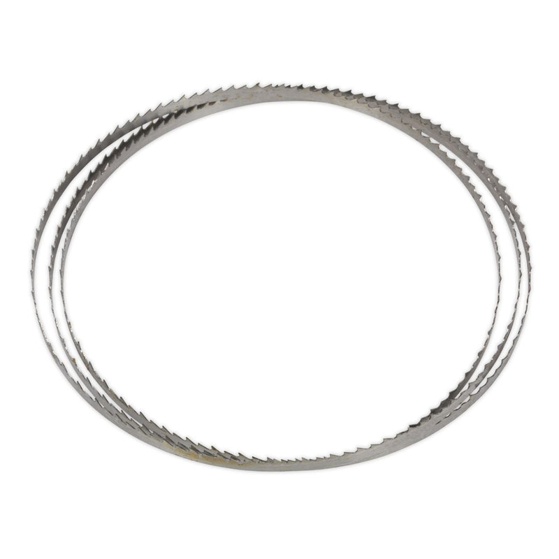 Sealey Bandsaw Blade 1400 x 6.5 x 0.35mm 6tpi SM1303B06 Sealey - Dynamic Drive