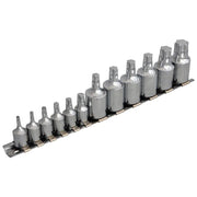 Bluespot Tools Mixed Drive TORX Socket Set, 12 Piece BlueSpot Tools - Dynamic Drive