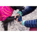 Ruffwear Hi & Light Dog Trail Shoes in Blue Pool 64mm (Pair) Ruffwear - Dynamic Drive