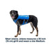 Ruffwear Trail Runner Dog Running Vest in Blue Pool (L / XL) Ruffwear - Dynamic Drive