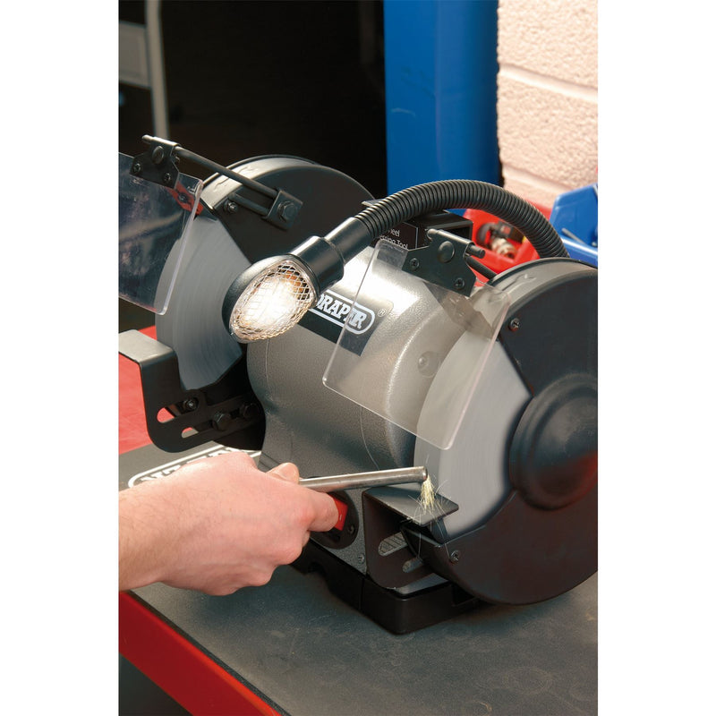 Draper Heavy Duty Bench Grinder with Worklight, 200mm, 550W 05097 Draper - Dynamic Drive