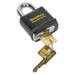 Sealey Steel Body Padlock 54mm PL502 Sealey - Dynamic Drive