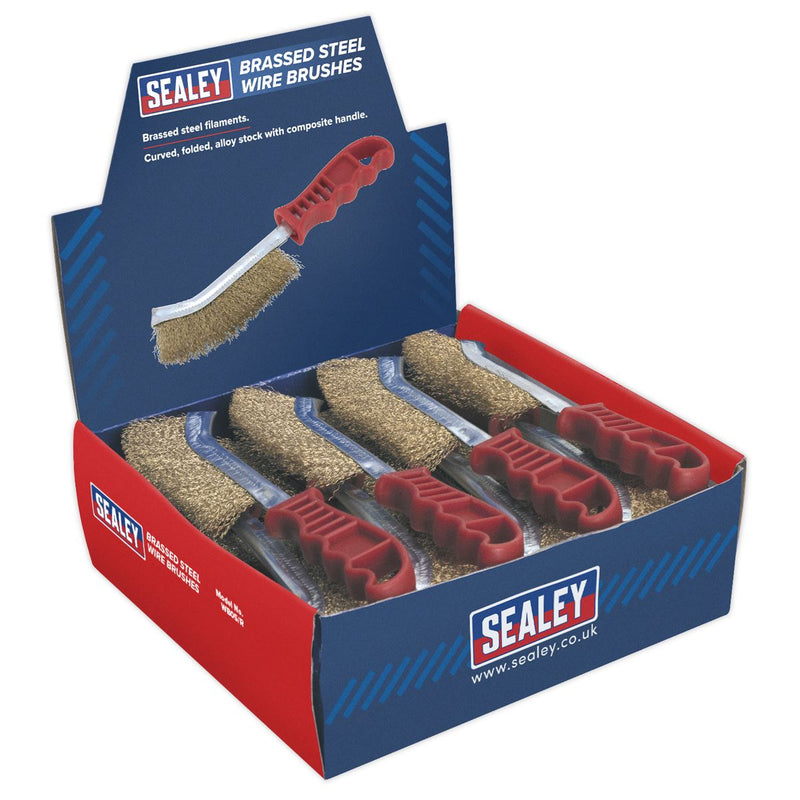 Sealey Wire Brush Brassed Steel Plastic Handle Display Box of 24 WB05DB24 Sealey - Dynamic Drive