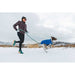 Ruffwear Vert Dog Jacket in Blue Pool (Medium) Ruffwear - Dynamic Drive