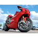 Laser Front AXLe Alignment Tool 30mm - Ducati 5337 Laser - Dynamic Drive
