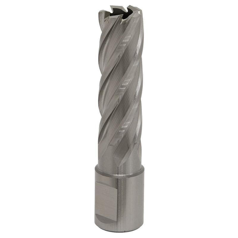 Sealey Rotabor Cutter HSS17mm Cut Depth 50mm RBHSS17L Sealey - Dynamic Drive