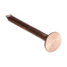 Forgefix Multi-Purpose Clout Nails Copper 30 x 2.65mm (1kg Bag) ForgeFix - Dynamic Drive