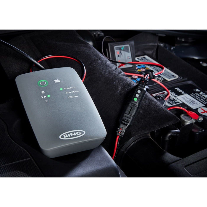 Ring battery œberwachungsstecker Rscbm for Chargers Series 700 Ring Automotive - Dynamic Drive
