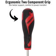 Teng Tools TPX Screwdriver TPX30 x 100mm L Teng Tools - Dynamic Drive