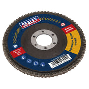 Sealey Flap Disc Aluminium Oxide100mm16mm Bore 60Grit FD10060E Sealey - Dynamic Drive