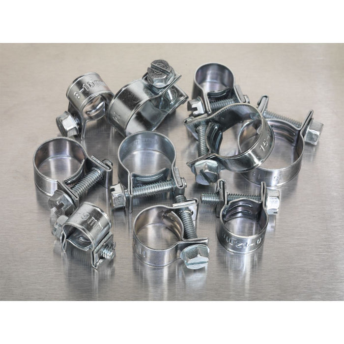 Sealey Mini Hose Clip Assortment 100pc AB042MH Sealey - Dynamic Drive