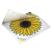 Rentokil Advanced Window Fly Traps (Pack 4) Rentokil - Dynamic Drive