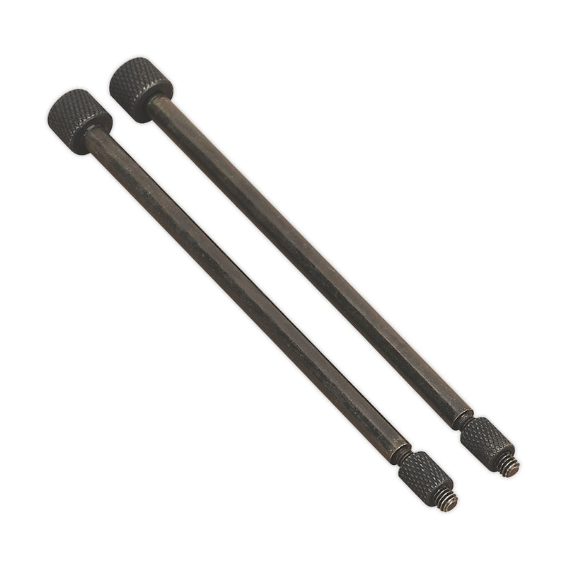 Sealey Door Hinge Removal Pin3 x 110mm Pack of 2 VS803/01 Sealey - Dynamic Drive