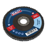 Sealey Flap Disc Zirconium 100mm 16mm Bore 60Grit FD10060 Sealey  - Dynamic Drive