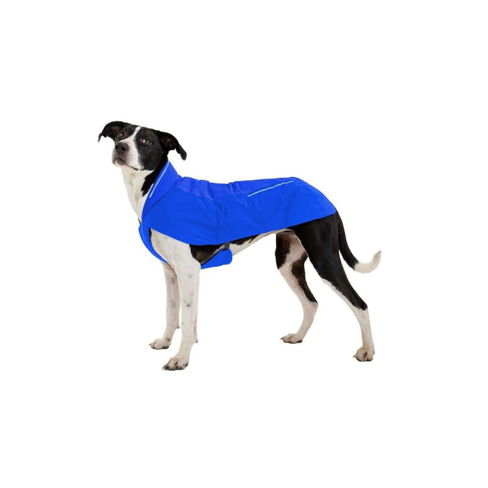 Ruffwear Vert Dog Jacket in Blue Pool (Large) Ruffwear - Dynamic Drive