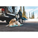 Ruffwear Basecamp Dog Bed in Sweeping Sage (Small) Ruffwear - Dynamic Drive
