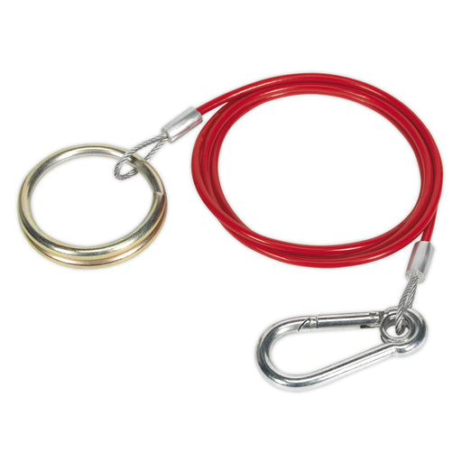 Sealey Breakaway Cable 1m x 2mm TB46 Sealey - Dynamic Drive
