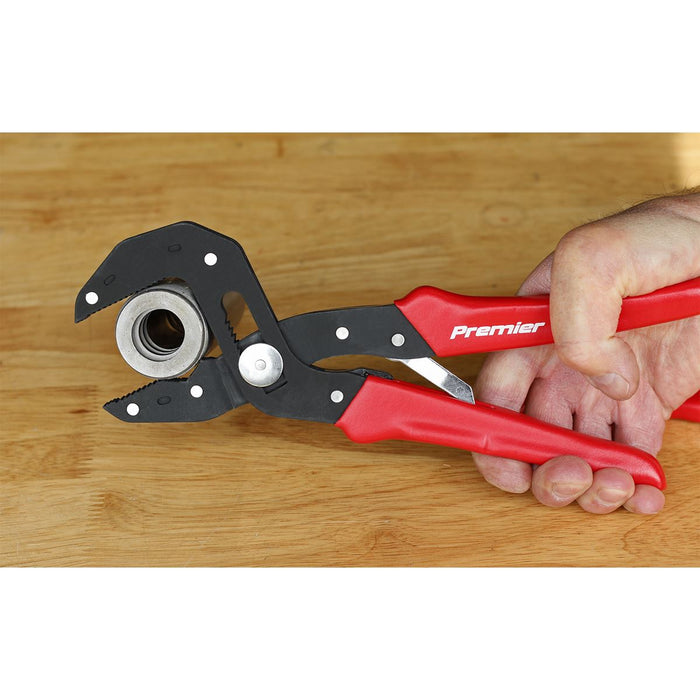Sealey Pliers Multi-Grip Self-Adjusting 250mm Sealey  - Dynamic Drive