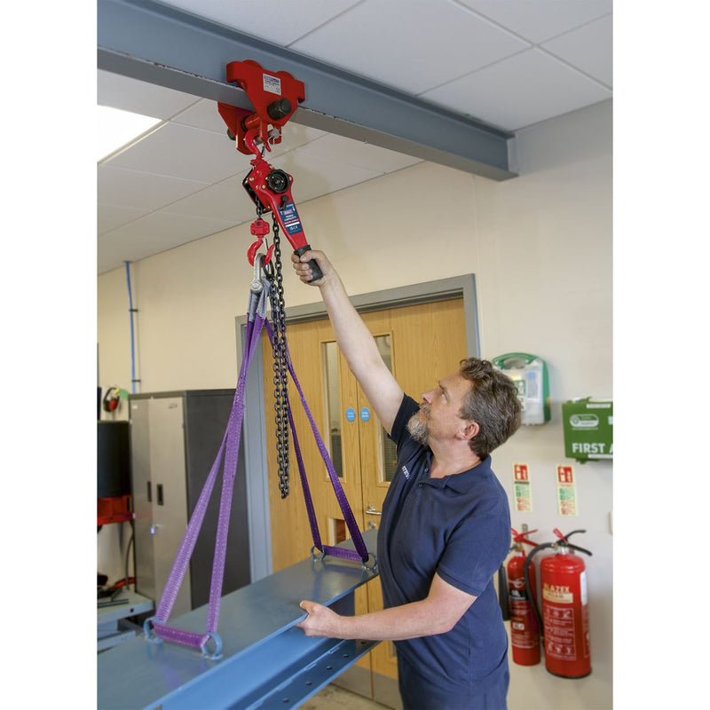Sealey Lever Hoist Steel 750kg LH750 Sealey - Dynamic Drive