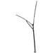 Fastpitch Event Shelter Pro Xl Coleman  - Dynamic Drive