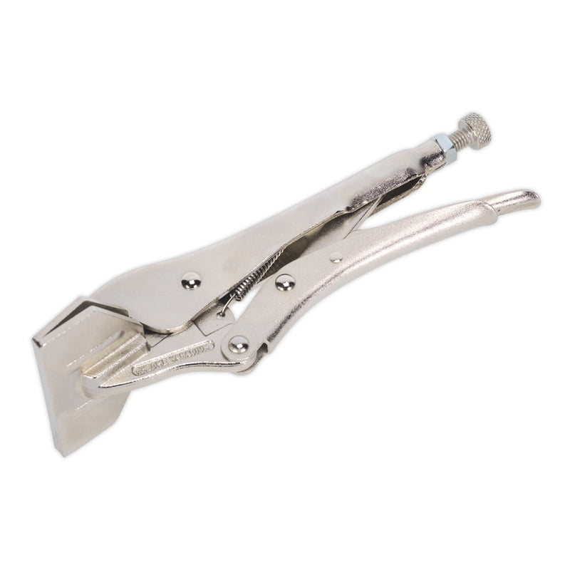 Sealey Sheet Metal Clamp 200mm 0-30mm Capacity AK6829 Sealey - Dynamic Drive