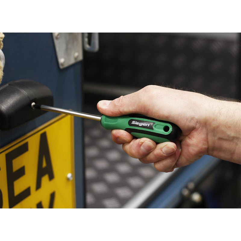 Sealey Screwdriver Pozi #2 x 100mm S01186 Siegen by Sealey - Dynamic Drive