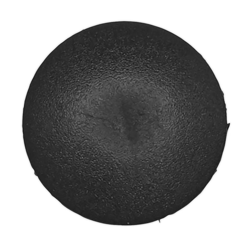 Sealey Fir Tree Clip18mm x 32mm BMW Chrysler Ford GM Pack of 20 Sealey - Dynamic Drive