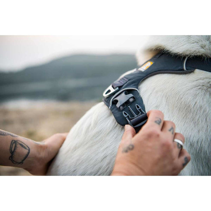 Ruffwear Front Range Dog Harness in Basalt Grey (L / XL) Ruffwear - Dynamic Drive