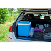 Campingaz Cooler Cool Box IceTime Plus 26L Camping Caravan Picnic Fishing Campingaz - Dynamic Drive