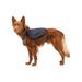 Ruffwear Front Range Dog Day Pack in Basalt Grey (Small) Ruffwear - Dynamic Drive