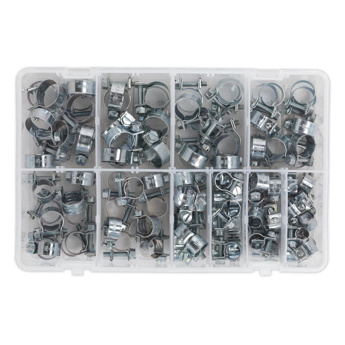 Sealey Mini Hose Clip Assortment 100pc AB042MH Sealey - Dynamic Drive
